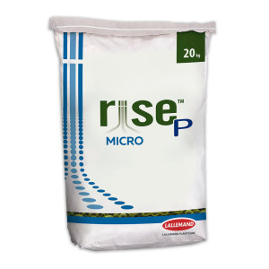 Rise P Micro de 20 kg