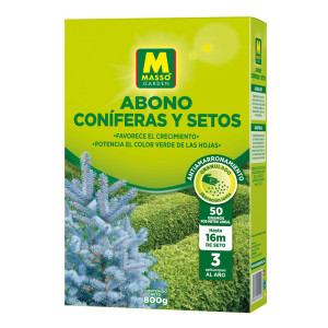 Adob coníferes i ornamentals