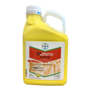 Mateno Forte 5 L