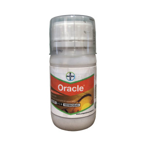 Oracle 165 g