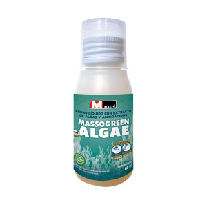 Massogreen Algae