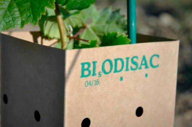 Protector biodegradable per a vinya i noves plantacions
